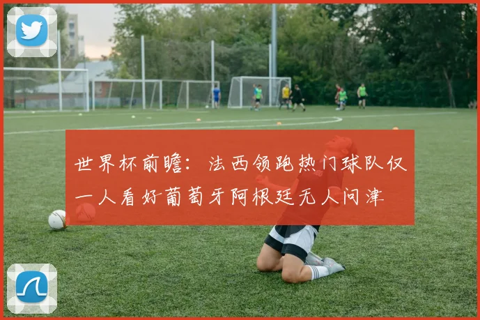世界杯前瞻：法西领跑热门球队仅一人看好葡萄牙阿根廷无人问津