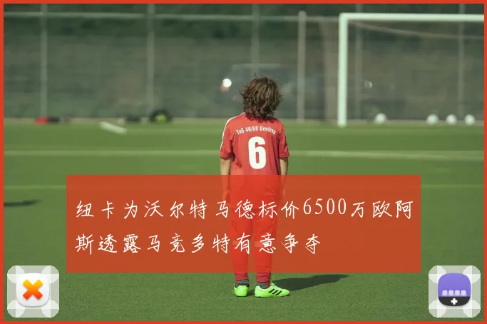 纽卡为沃尔特马德标价6500万欧阿斯透露马竞多特有意争夺