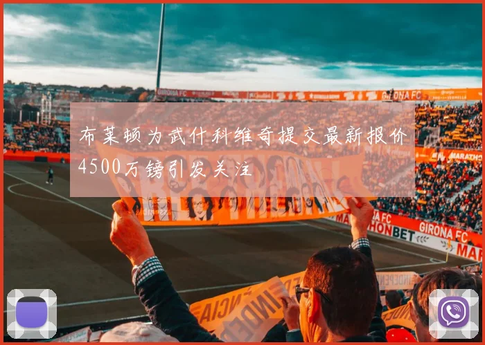布莱顿为武什科维奇提交最新报价4500万镑引发关注